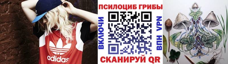 Галлюциногенные грибы Magic Shrooms  Сурск 