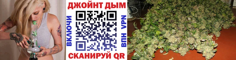где купить   Сурск  Бошки марихуана OG Kush 